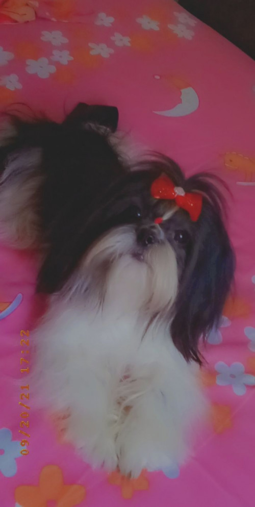 Lupita