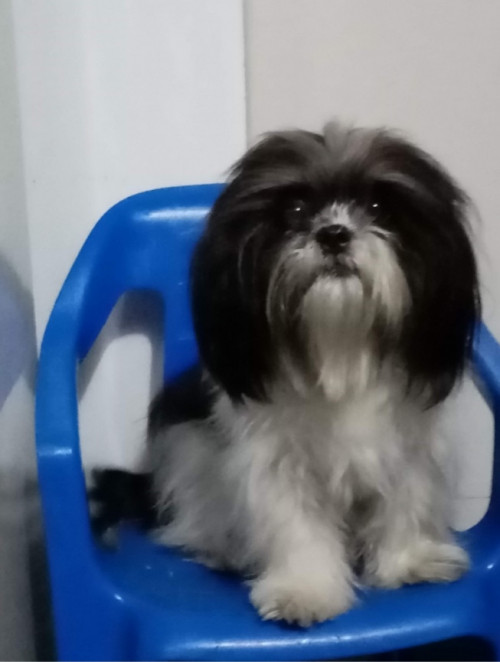 Lupita
