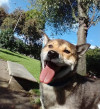 Foto de Hatchi  en Ubaque Cundinamarca #9