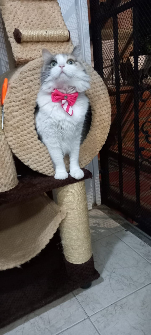 Luna