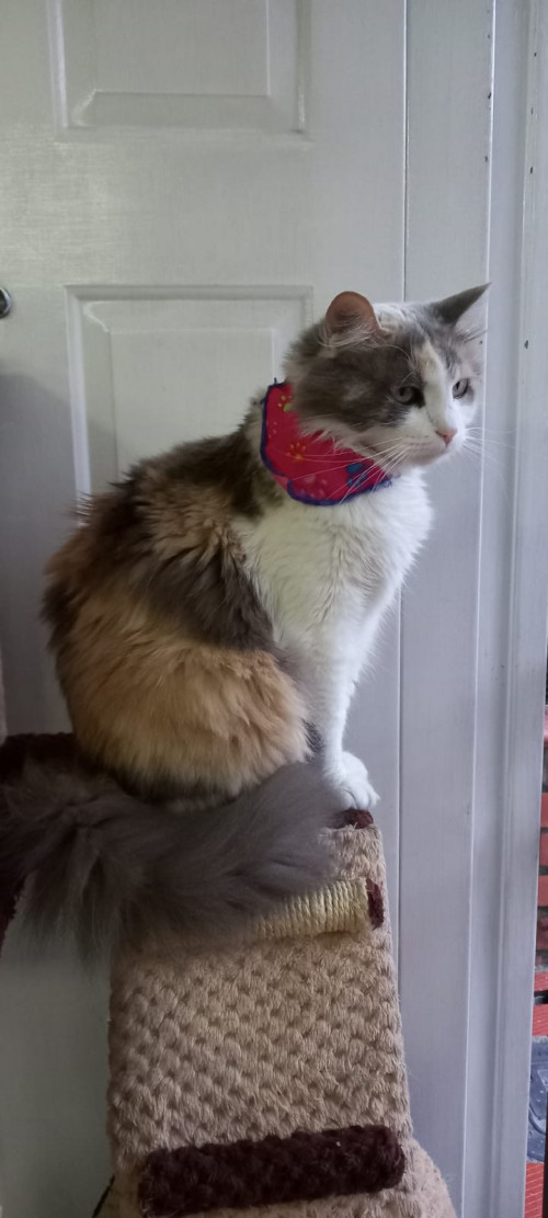Luna