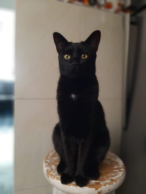 Mia
