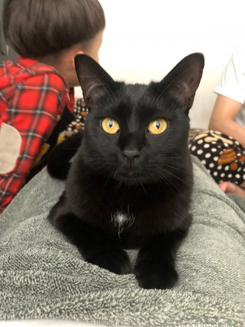 Mia