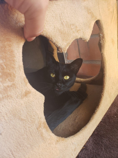 Mia