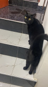 Foto de Mia en  Bogotá #0