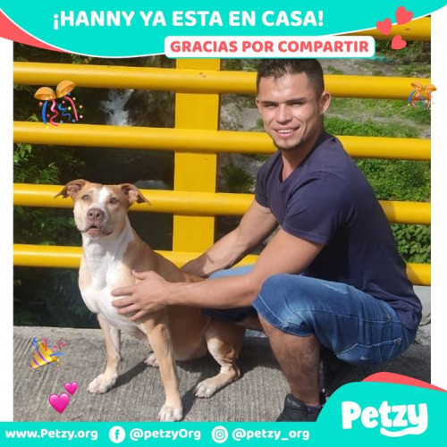 Foto de mascota Hanny