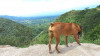 Foto de Nara en Rivera Huila #4