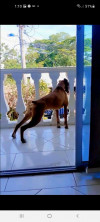 Foto de Nara en Rivera Huila #0