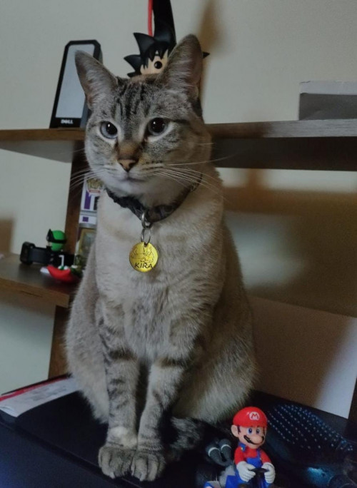 Kira