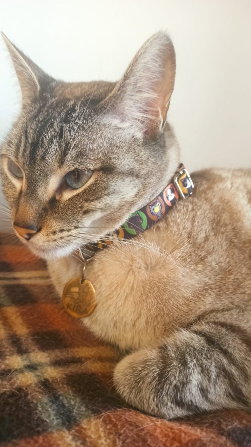 Kira