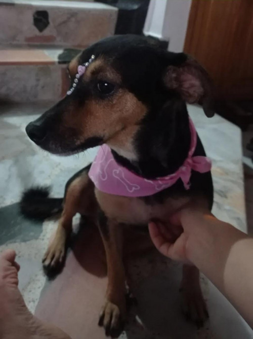 Susy