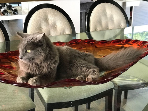 Simón