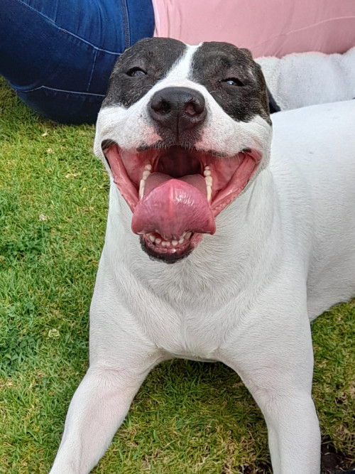 Luna