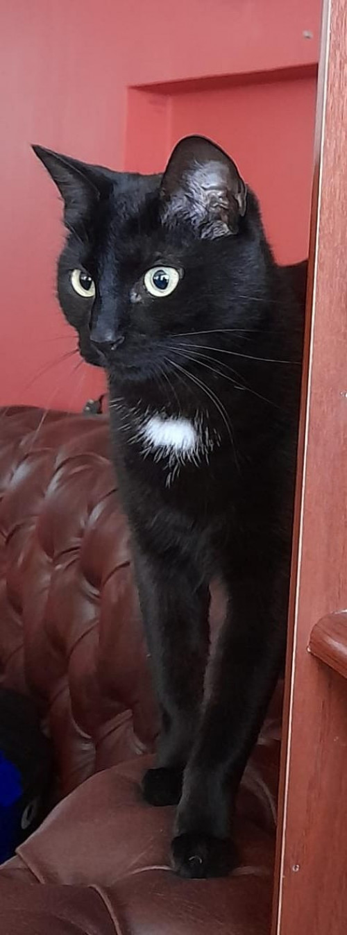Agatha