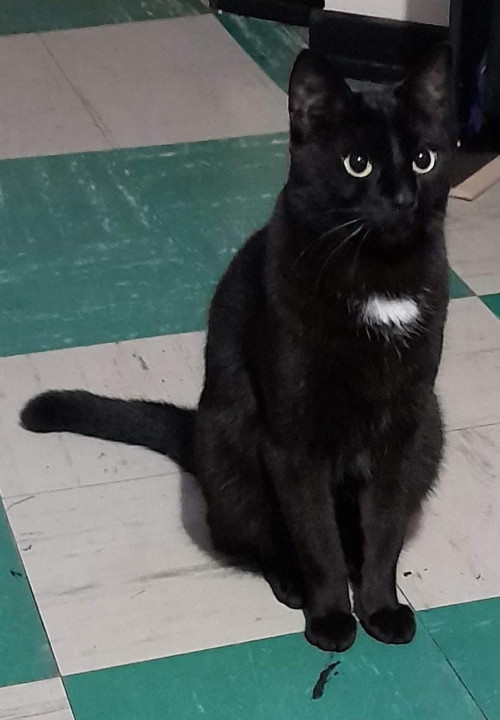 Agatha