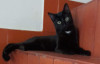 Foto de Agatha en  Bogotá #1