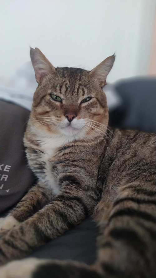 Tito