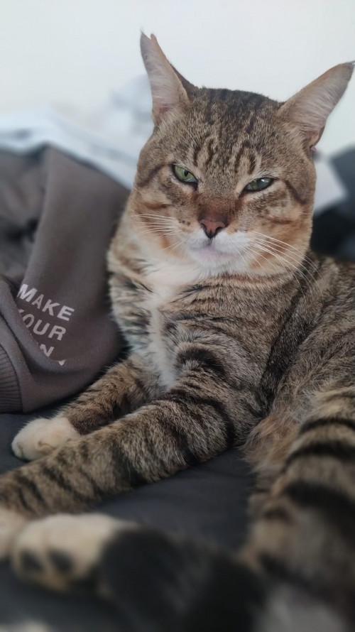 Tito