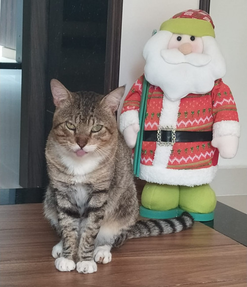 Tito