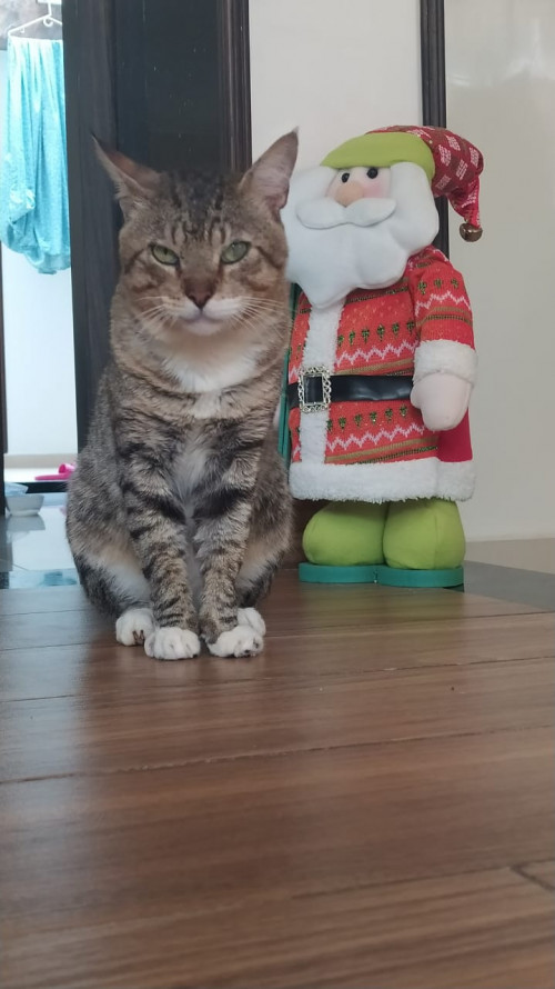 Tito