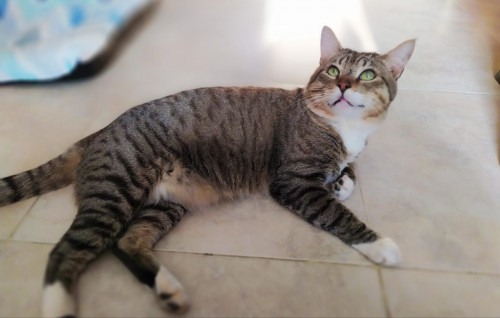 Tito