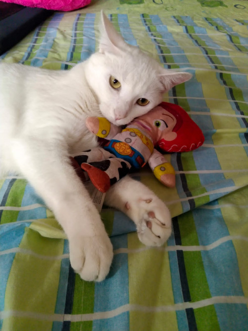 Tita