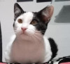 Foto de Nala en  Bogotá #0