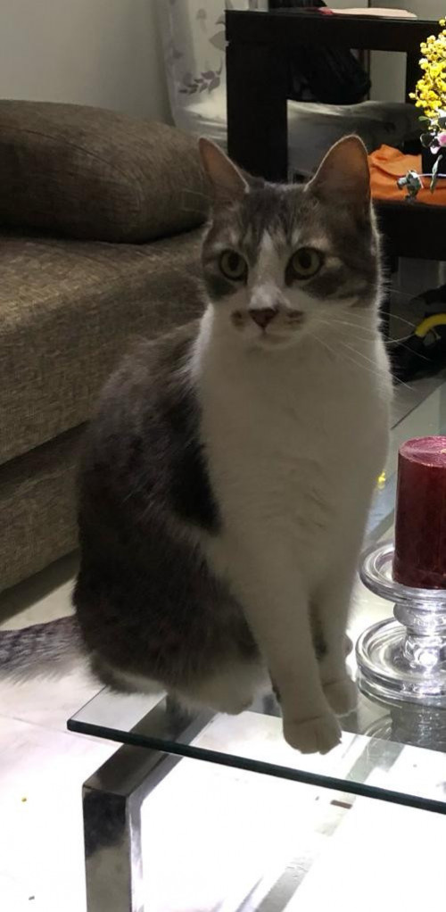 Dulce