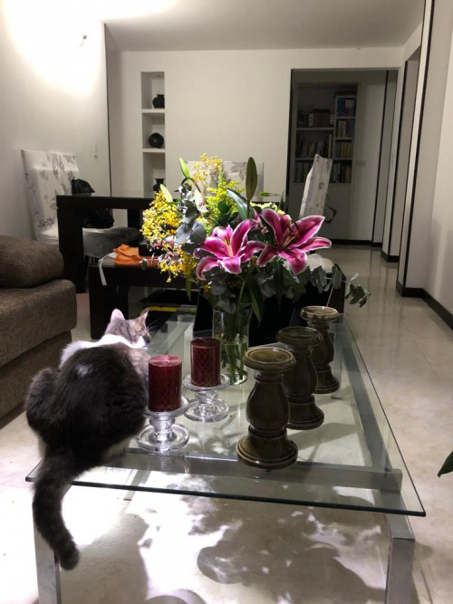 Dulce