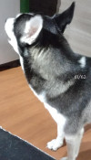 Foto de Kiara en Itagüí Antioquia #1