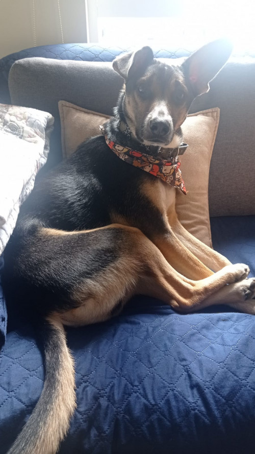 Paco 