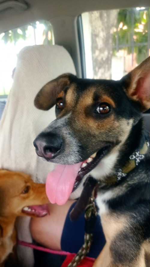 Paco 