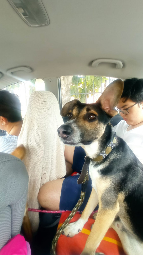 Paco 