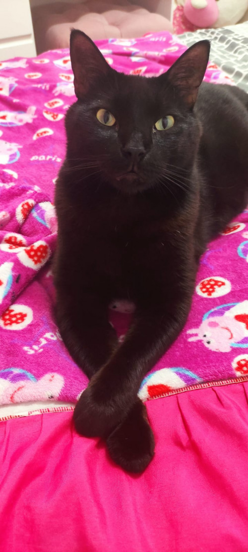 Zeus