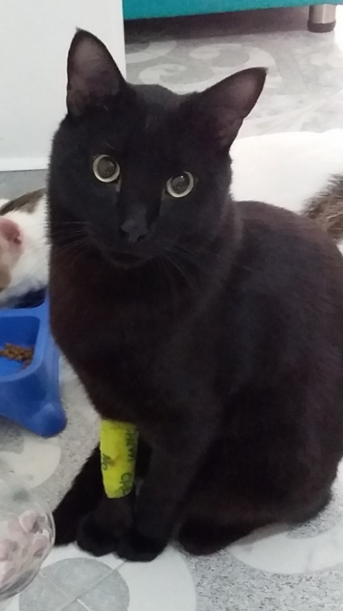 Zeus
