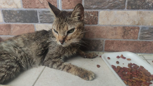 Emma