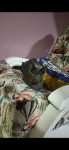 Foto de Gris en Pereira Risaralda #1