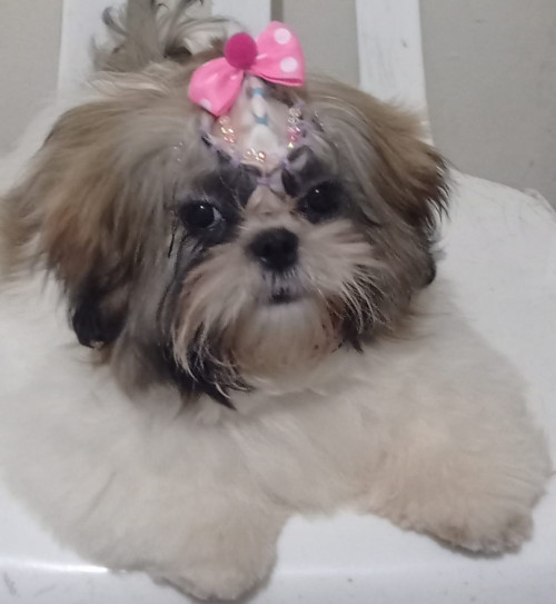 Dulce