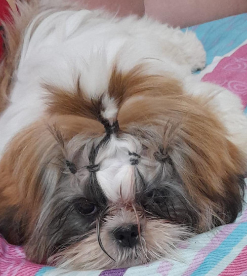 Dulce