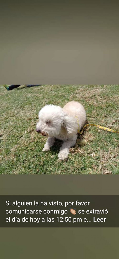 Muñeca O Niña
