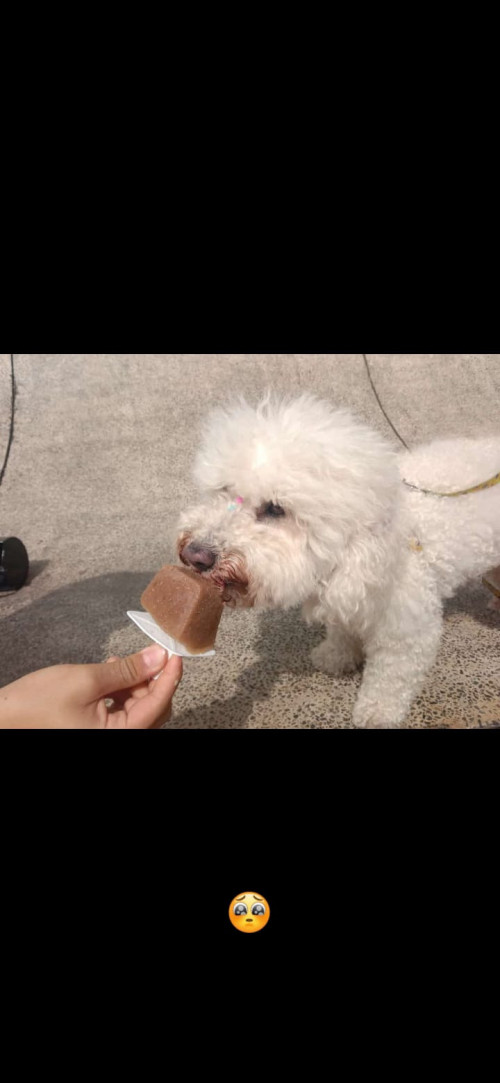 Muñeca O Niña