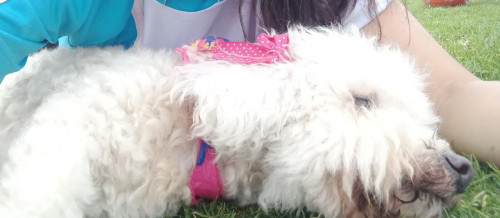 Muñeca O Niña