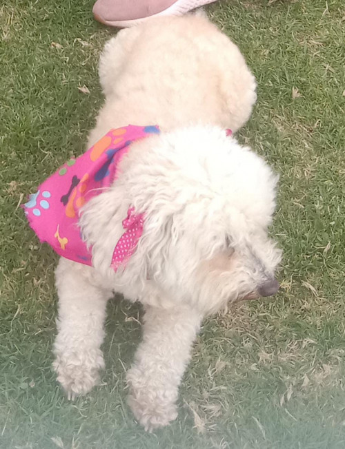 Muñeca O Niña