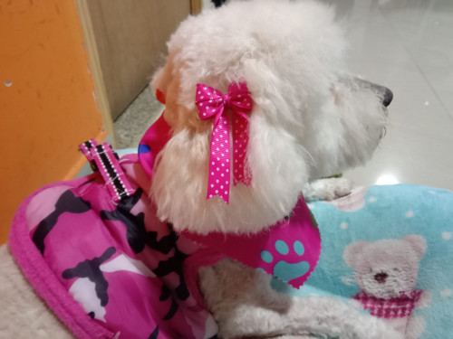 Muñeca O Niña