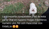 Foto de Muñeca O Niña en  Bogotá #4