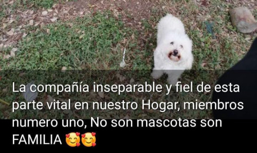 Muñeca O Niña