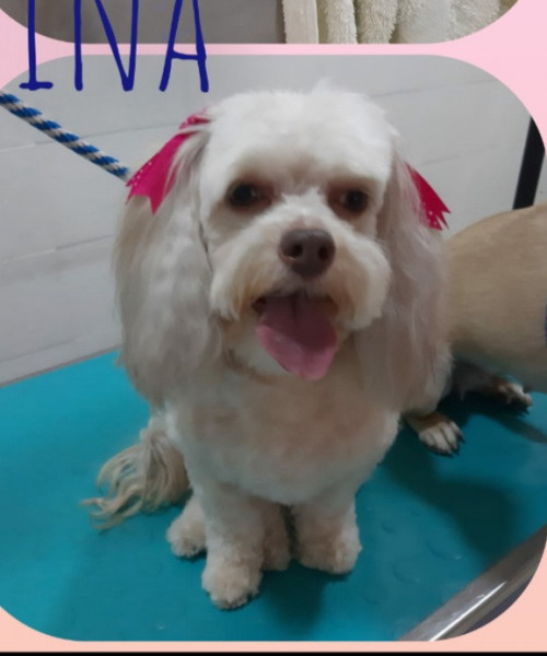 Martina