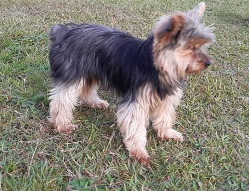 Teo