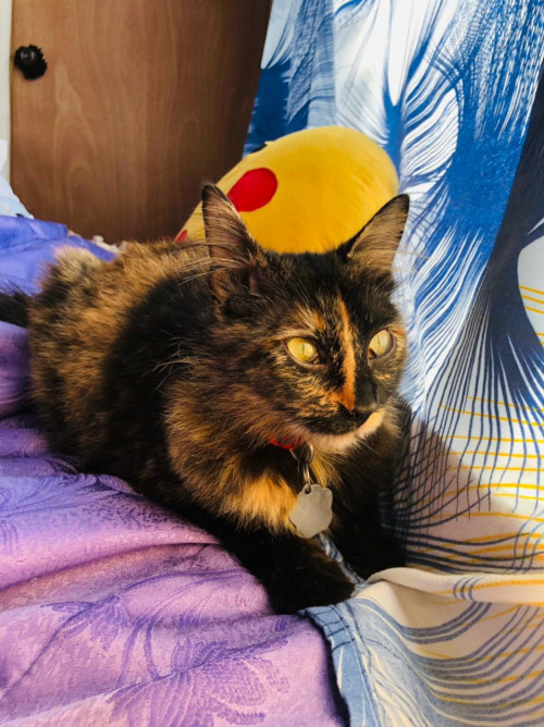 Zoe