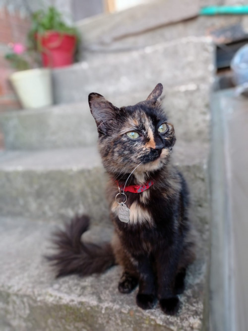Zoe